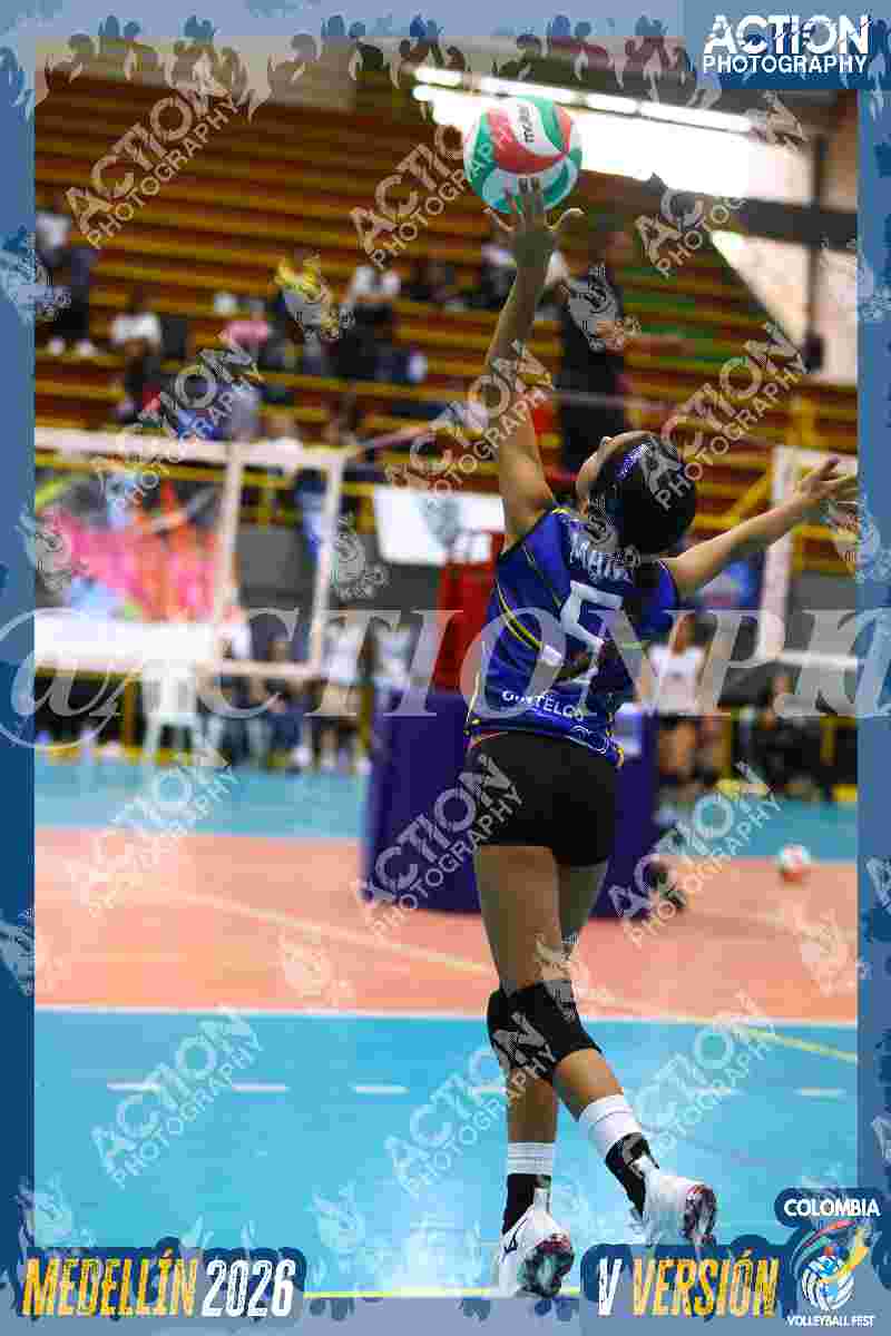 TIGRES DEL VOLEY Foto 1