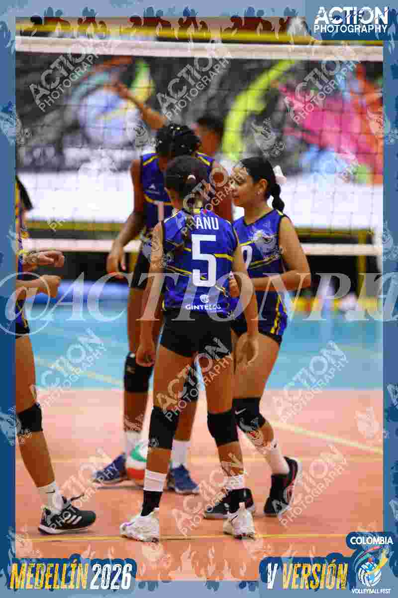 TIGRES DEL VOLEY Foto 1