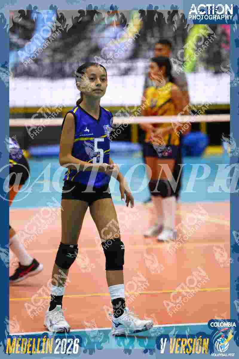 TIGRES DEL VOLEY Foto 11