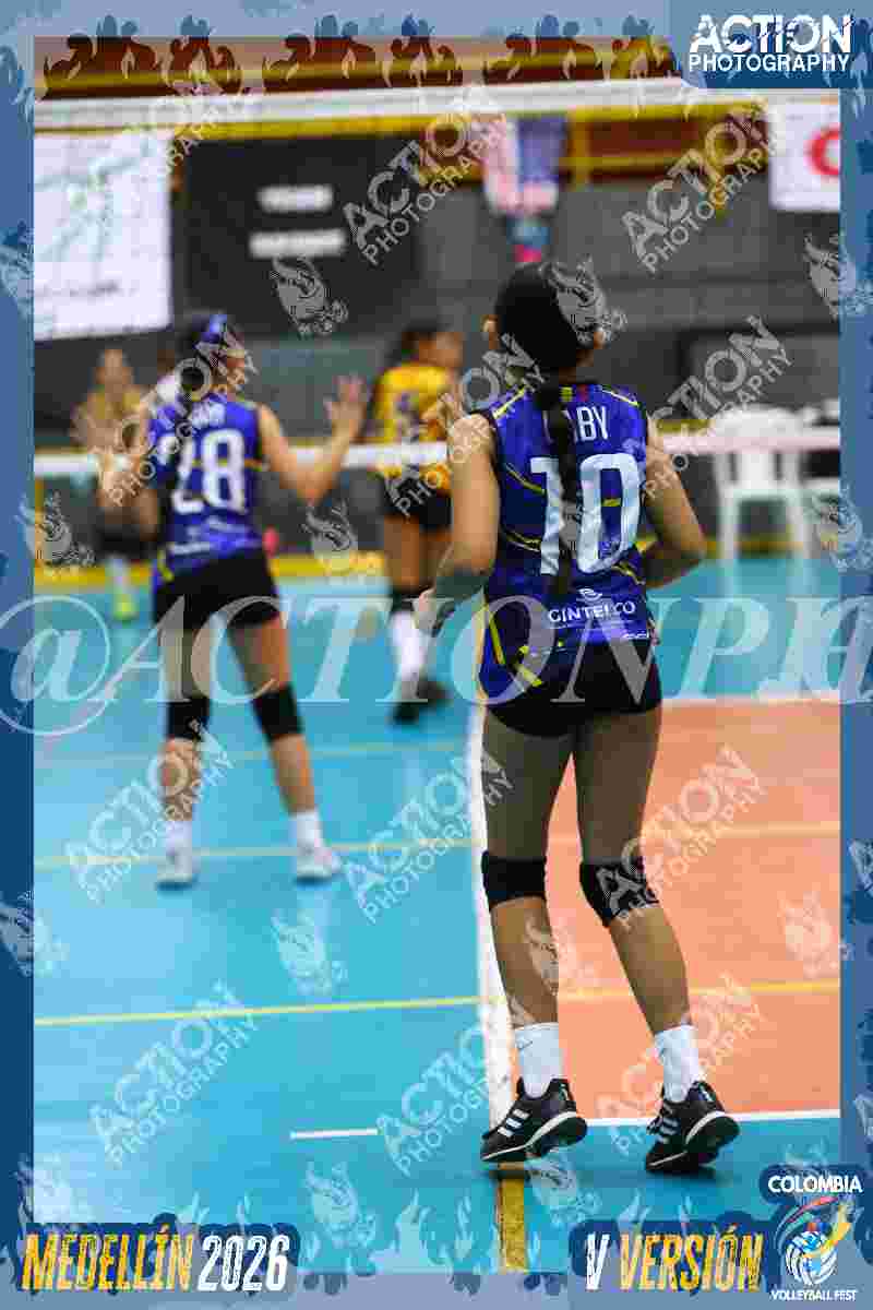 TIGRES DEL VOLEY Foto 11