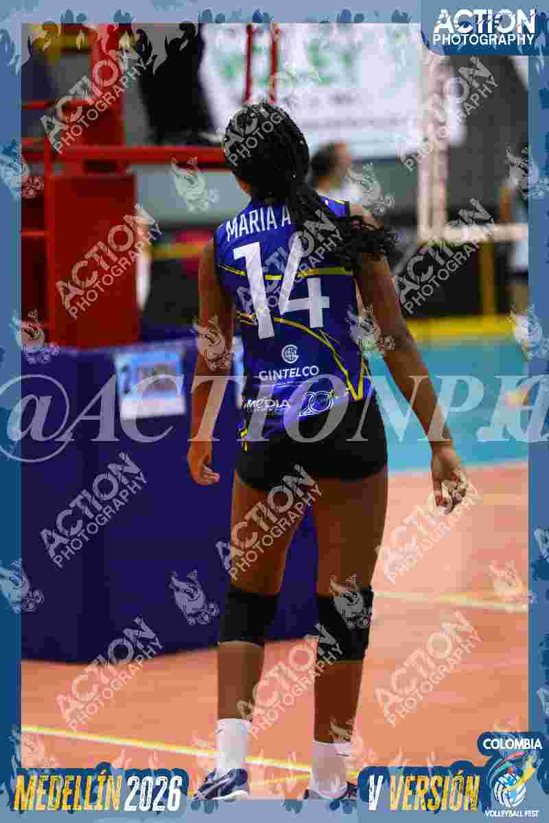TIGRES DEL VOLEY Foto 11