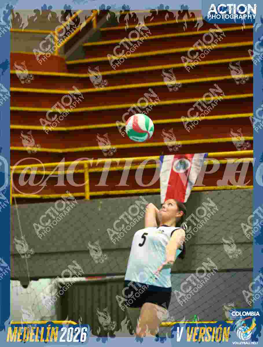 Preview de GOLDEN