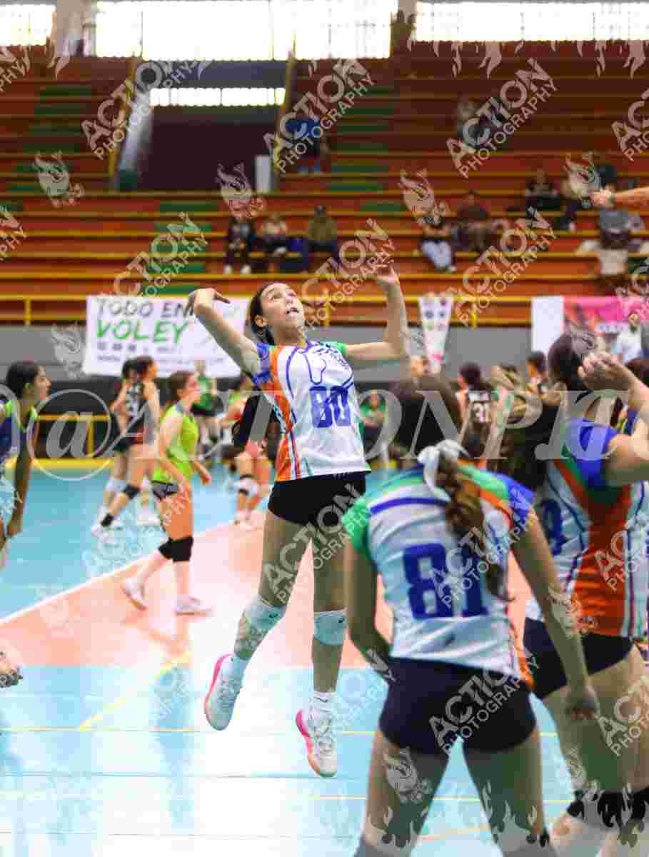 POTROS SPORTS YELLOW Foto 1