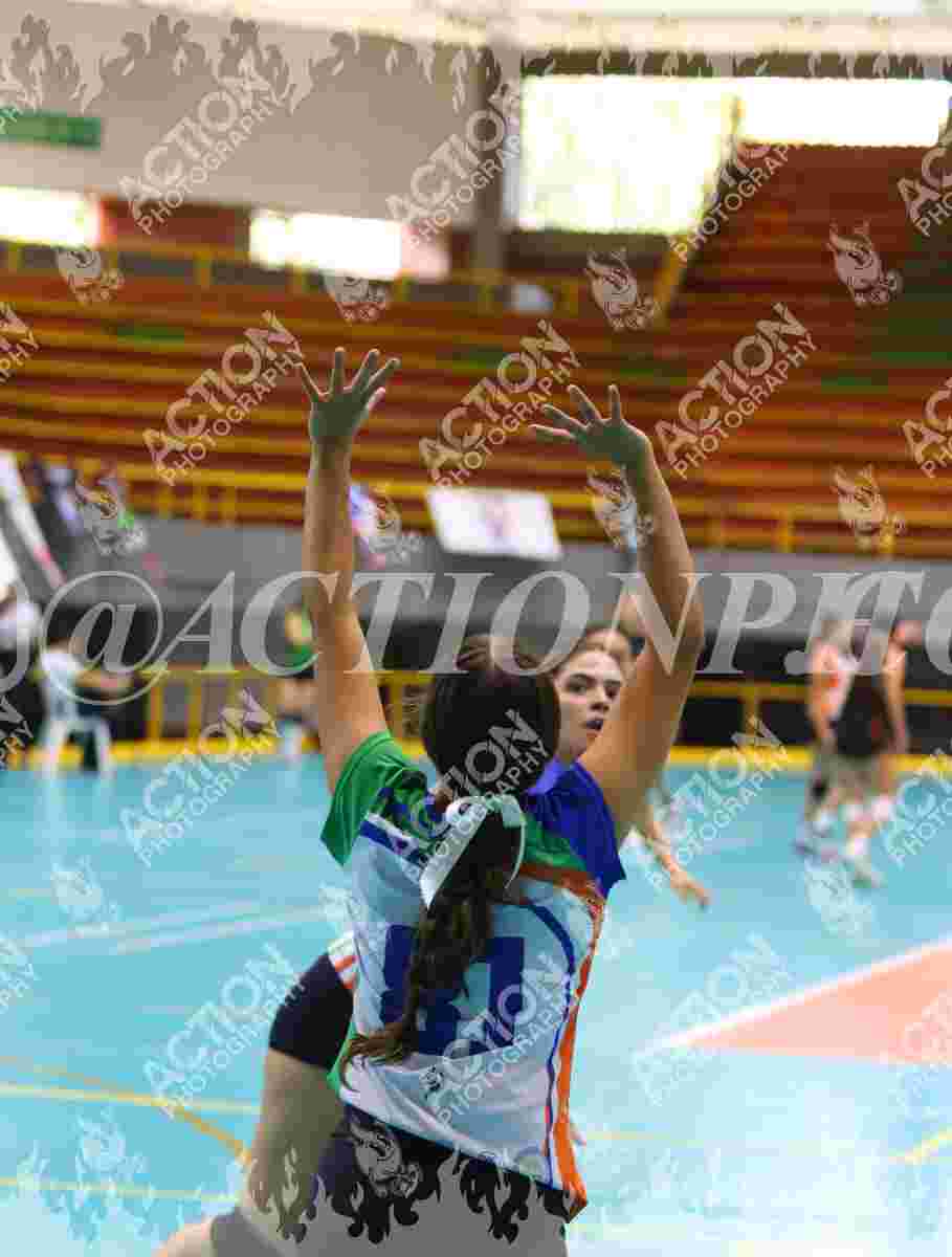 POTROS SPORTS YELLOW Foto 11