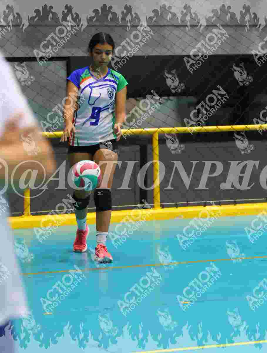 POTROS SPORTS YELLOW Foto 1