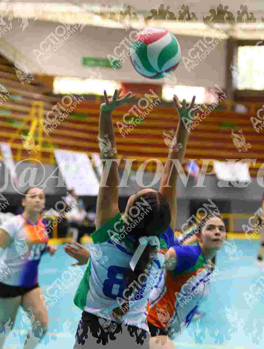 POTROS SPORTS YELLOW Foto 1