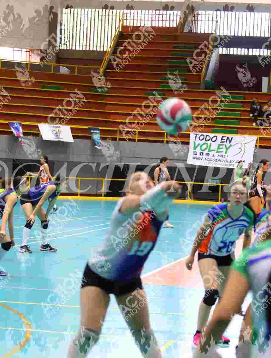 POTROS SPORTS YELLOW Foto 1
