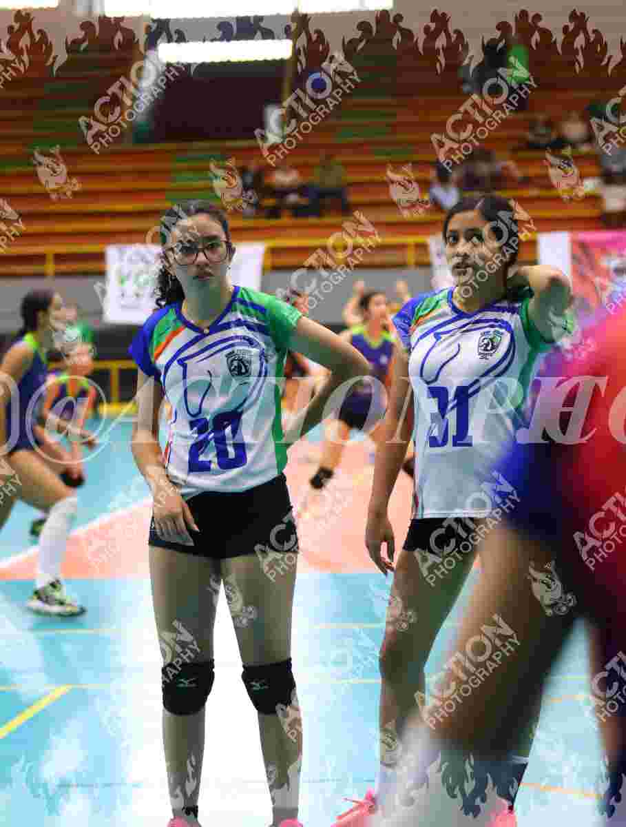 POTROS SPORTS YELLOW Foto 11