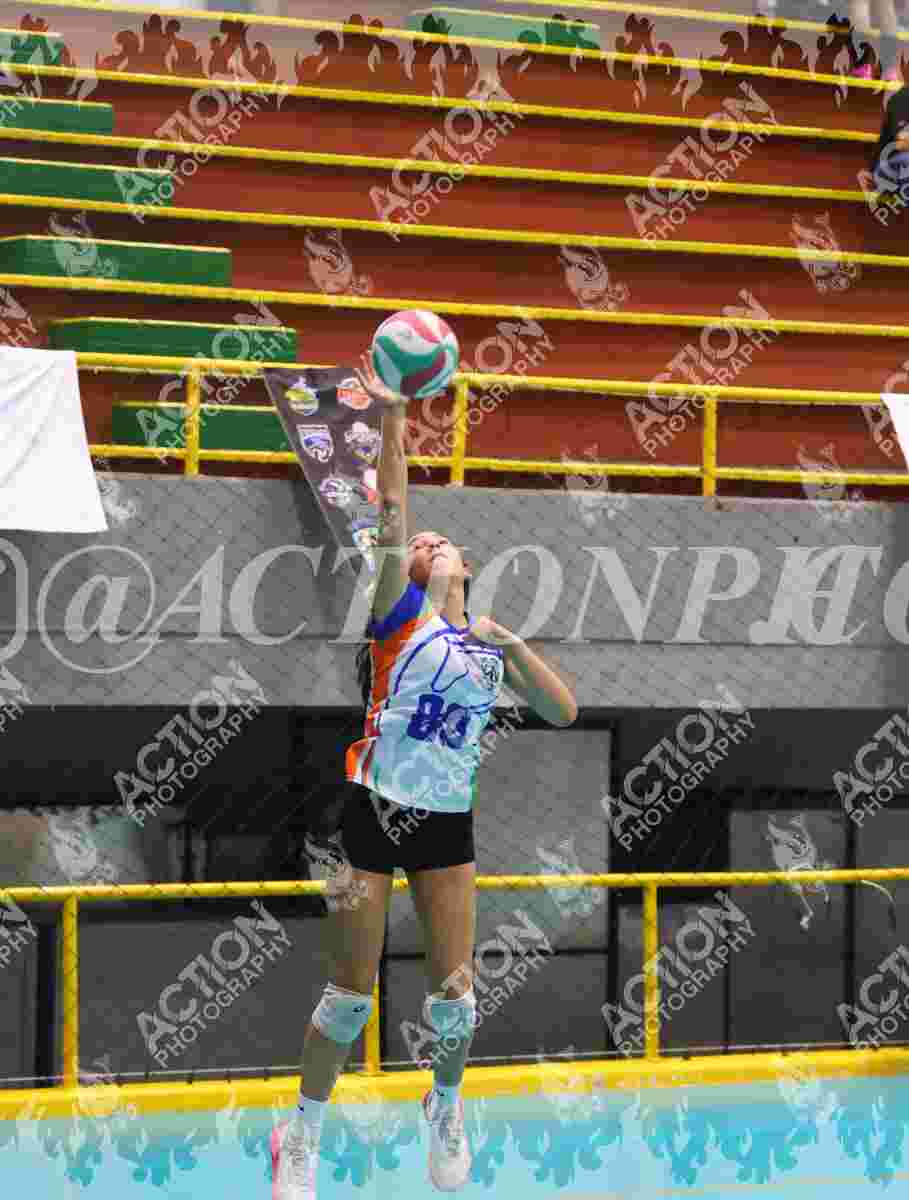 POTROS SPORTS YELLOW Foto 11