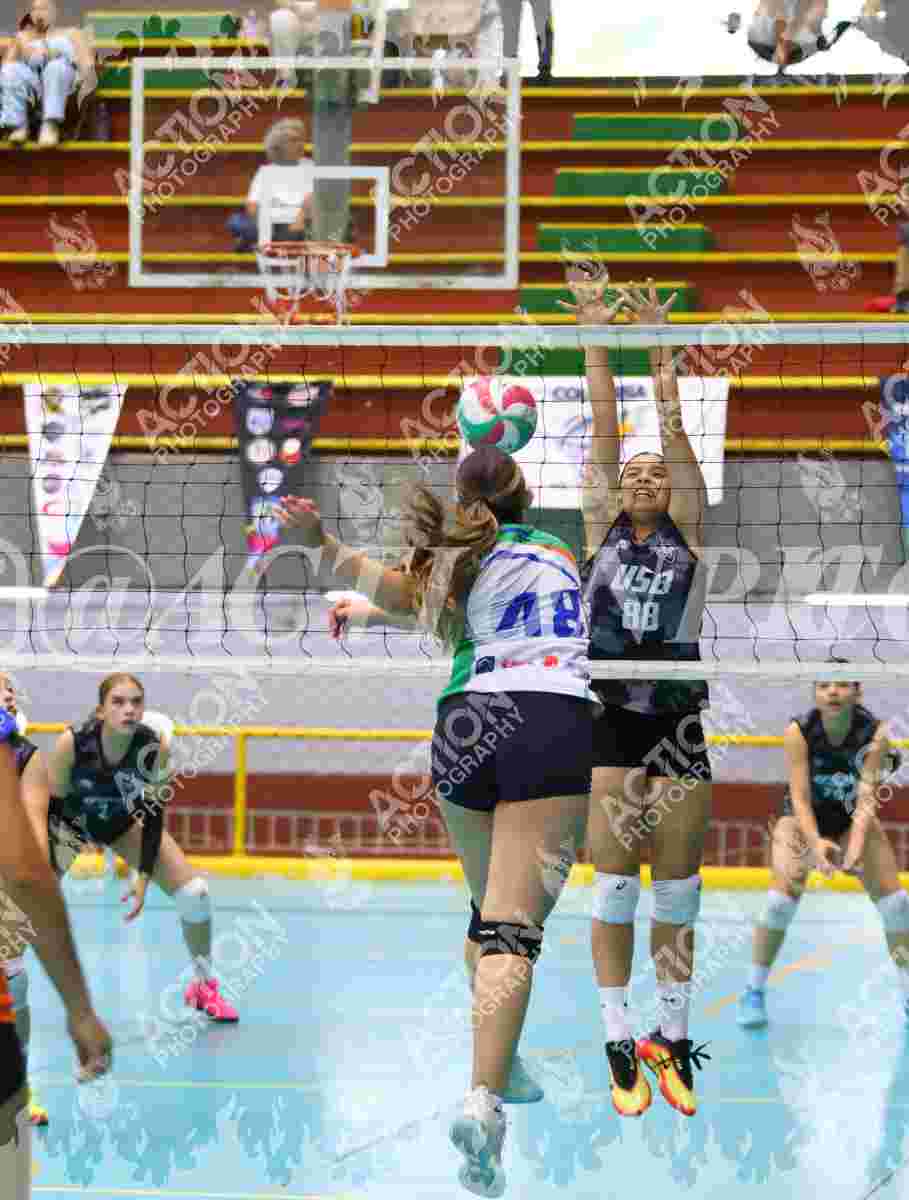 Preview de POTROS SPORTS YELLOW