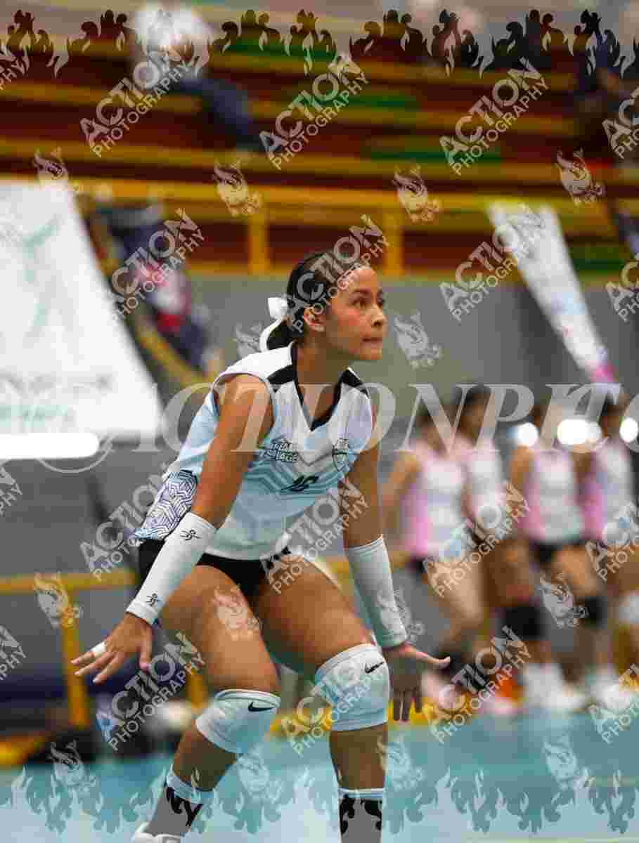 SAVAGE A Foto 11