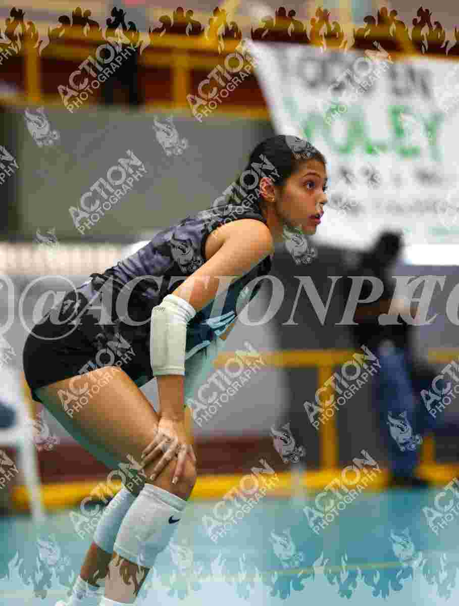 SAVAGE A Foto 11