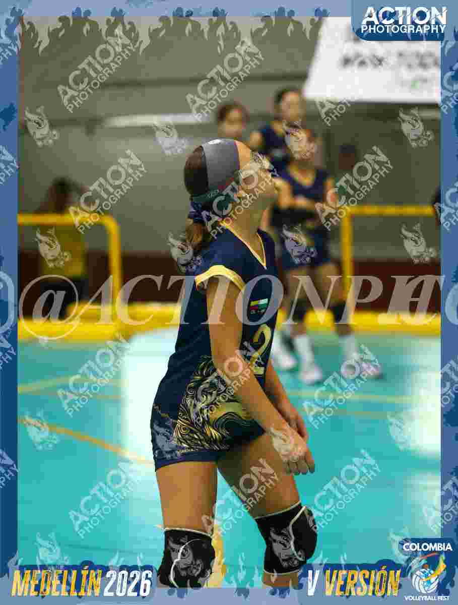 WOLVES Foto 1