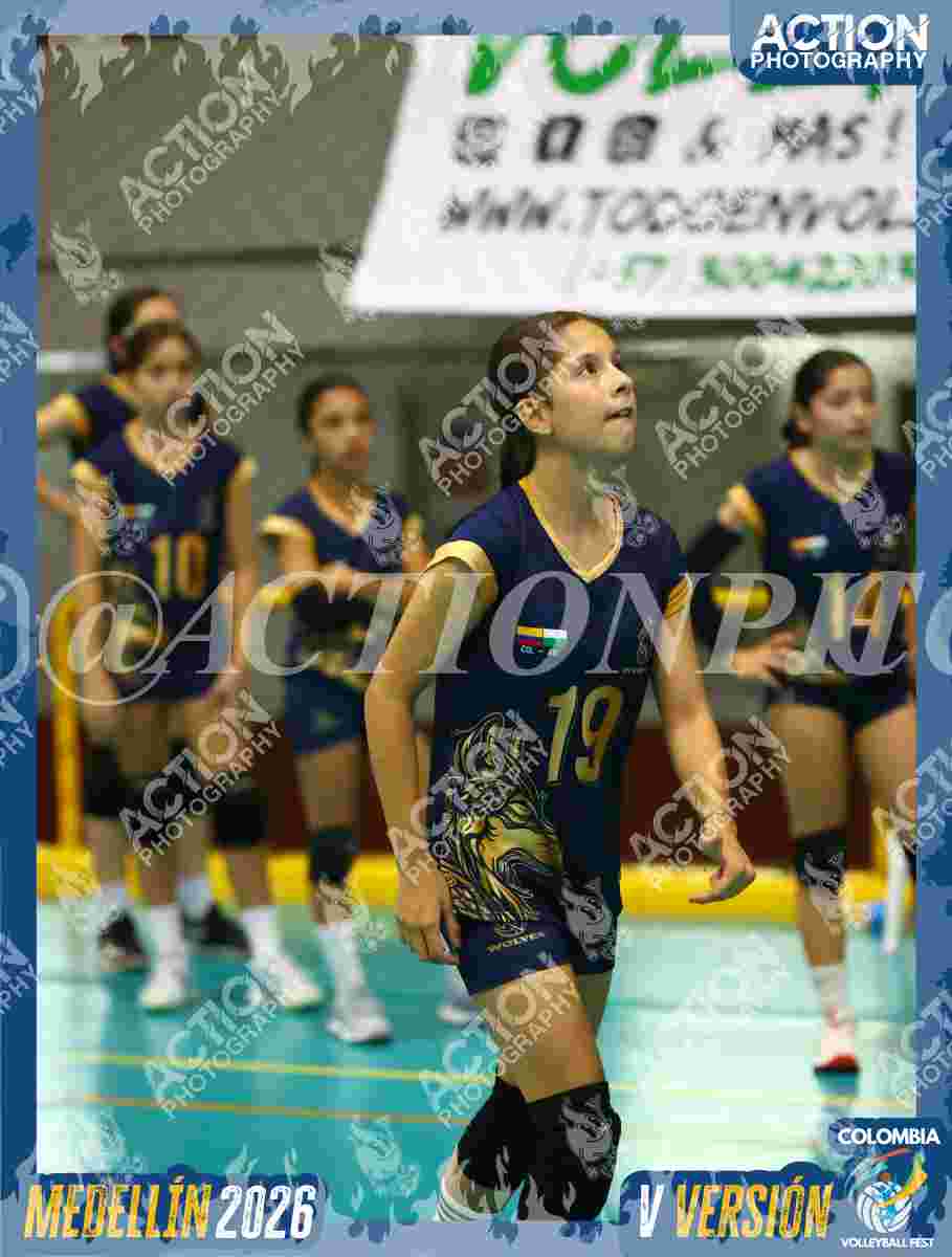 WOLVES Foto 1