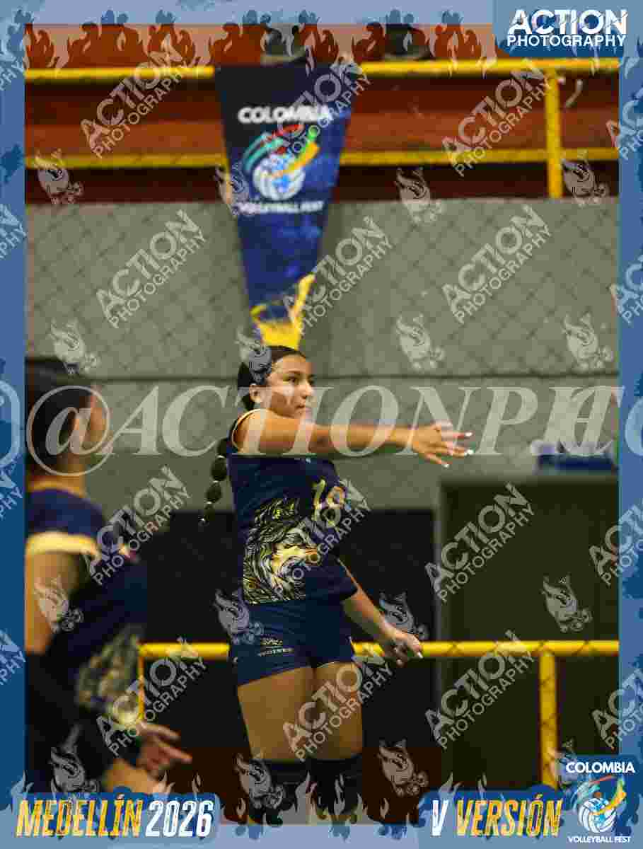 WOLVES Foto 1