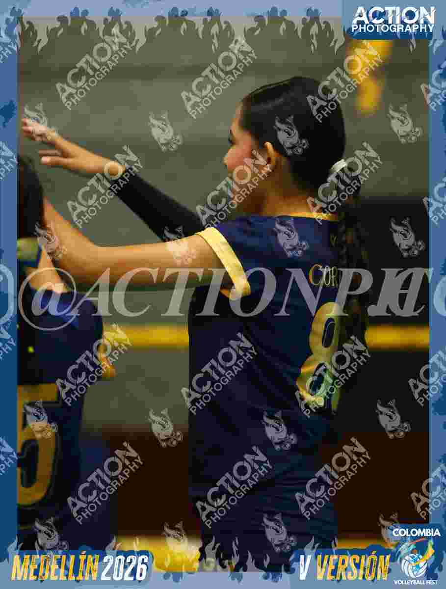 WOLVES Foto 11