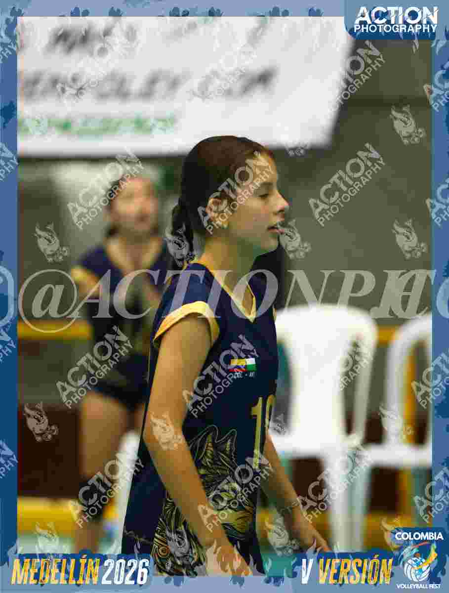 WOLVES Foto 1