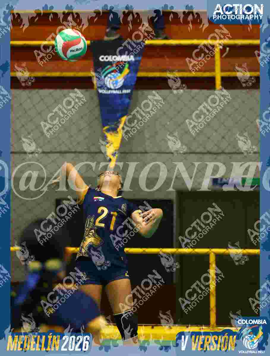 WOLVES Foto 1