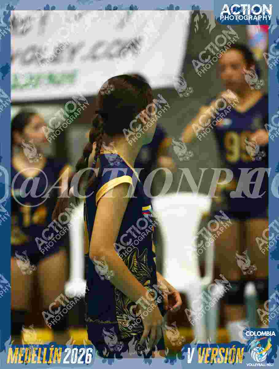 WOLVES Foto 11