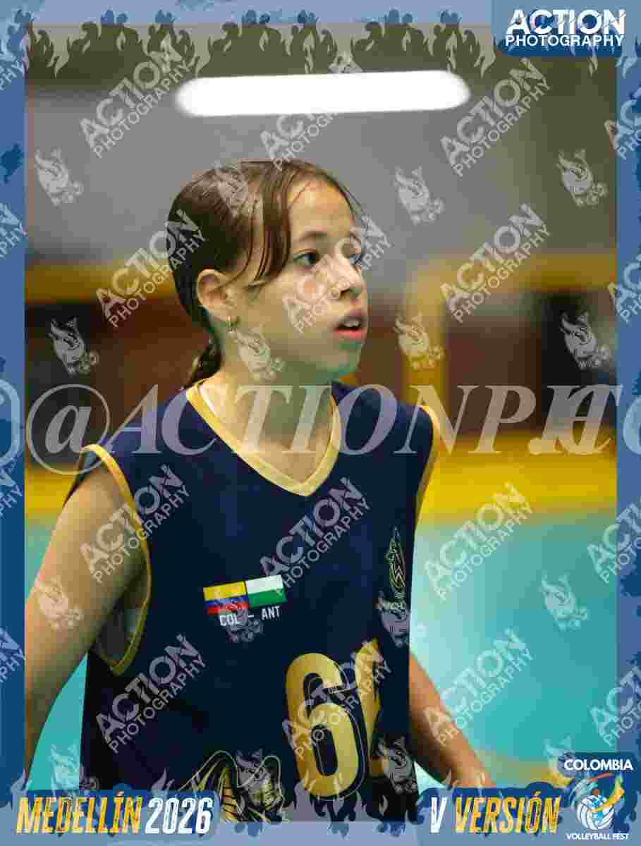 WOLVES Foto 11