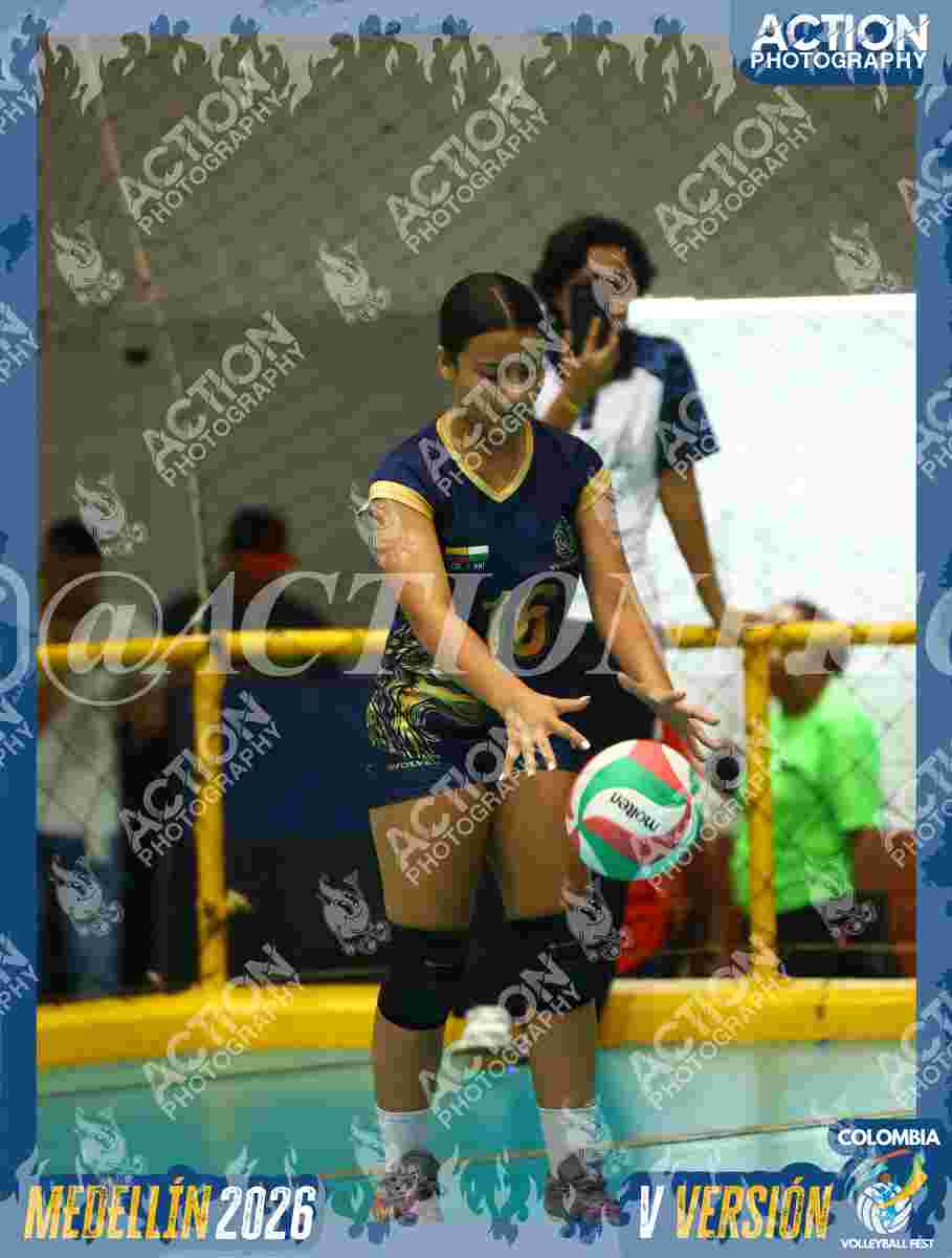 WOLVES Foto 11