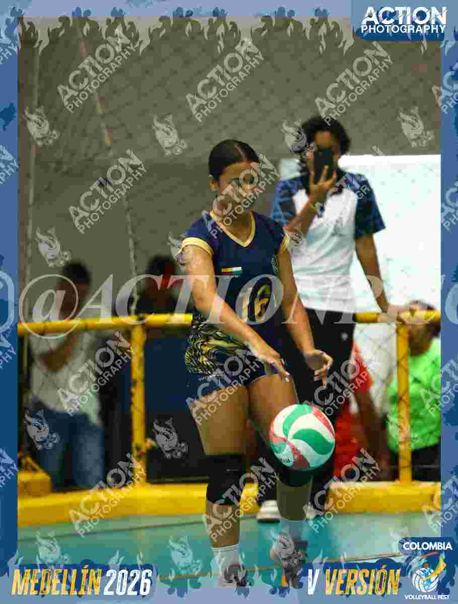 WOLVES Foto 11