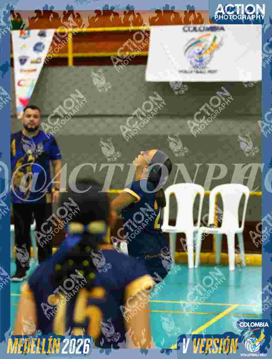WOLVES Foto 11