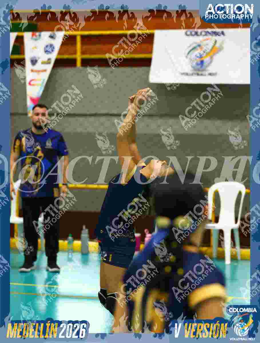 WOLVES Foto 11