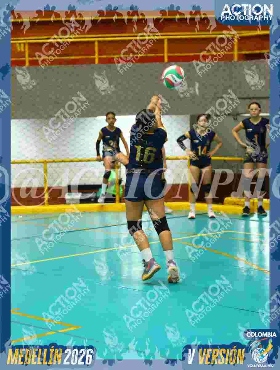 WOLVES Foto 11