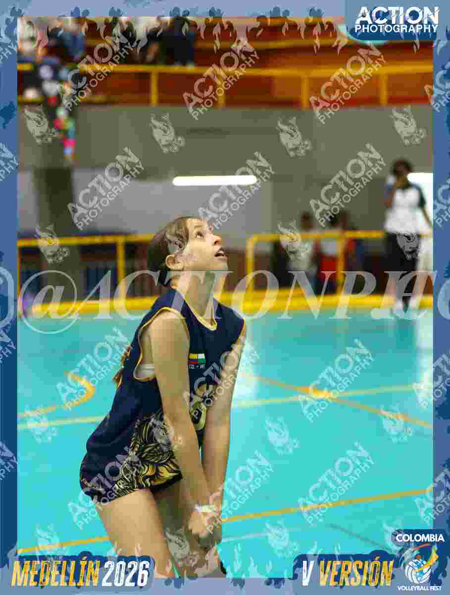 WOLVES Foto 11