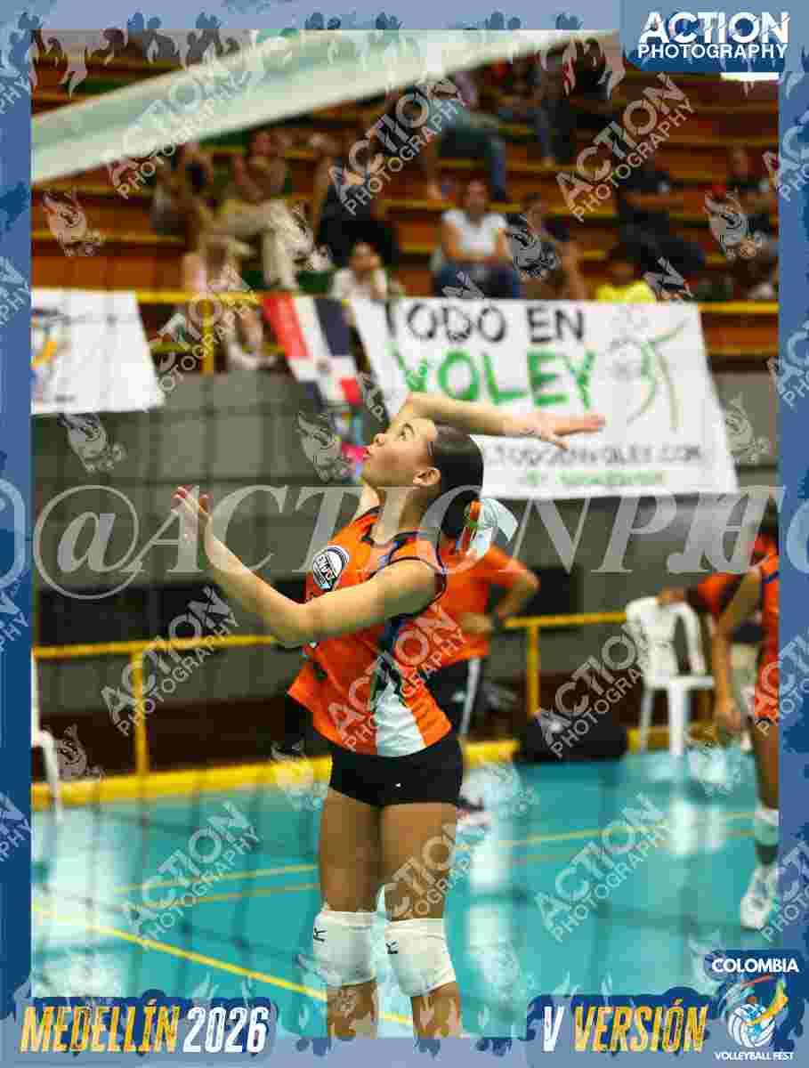 Preview de ENVOL