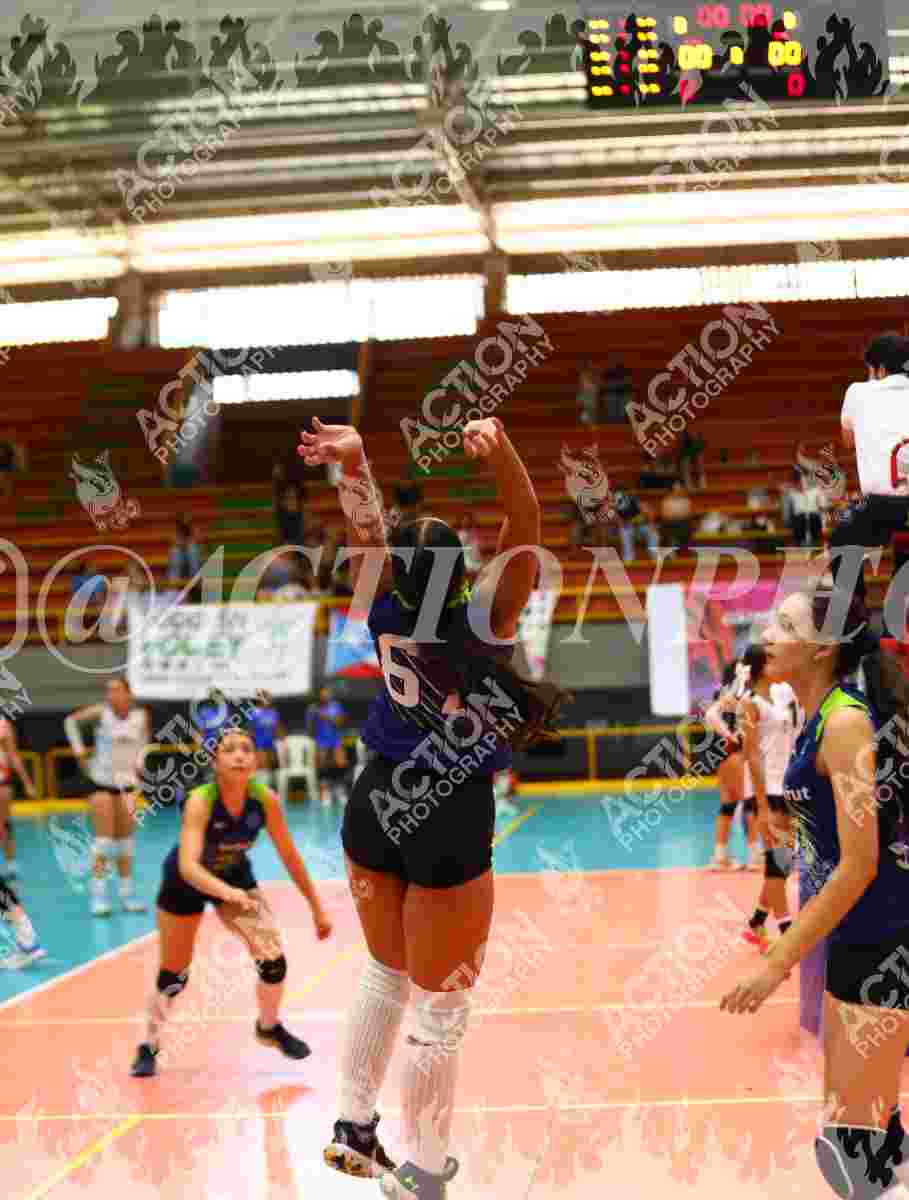 FUNDAFRUT 3 Foto 11