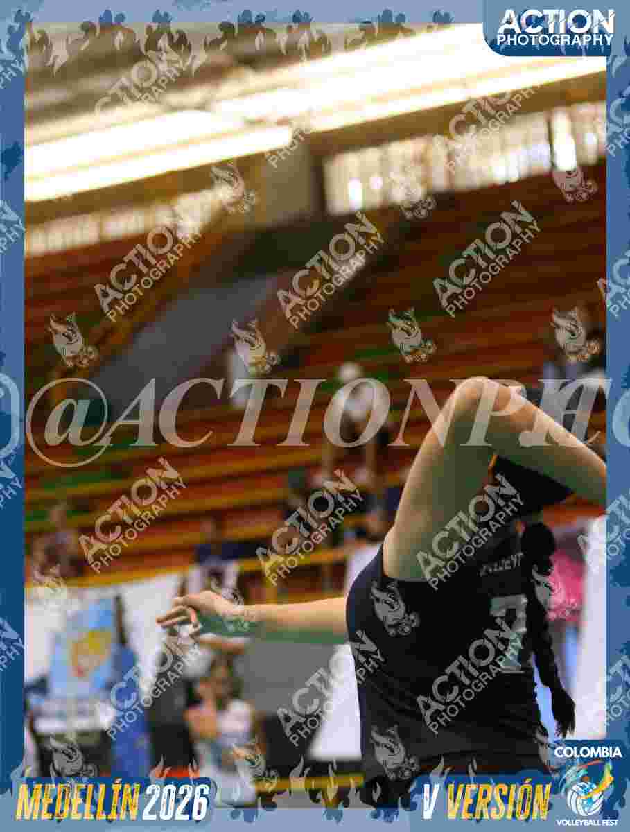 Preview de OLYMPIC