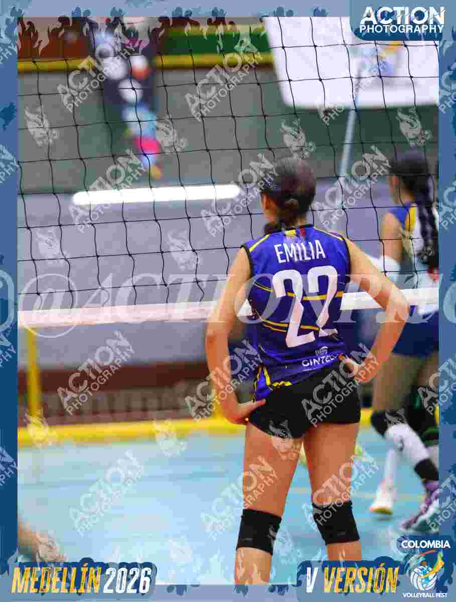 TIGRES DEL VOLEY Foto 1