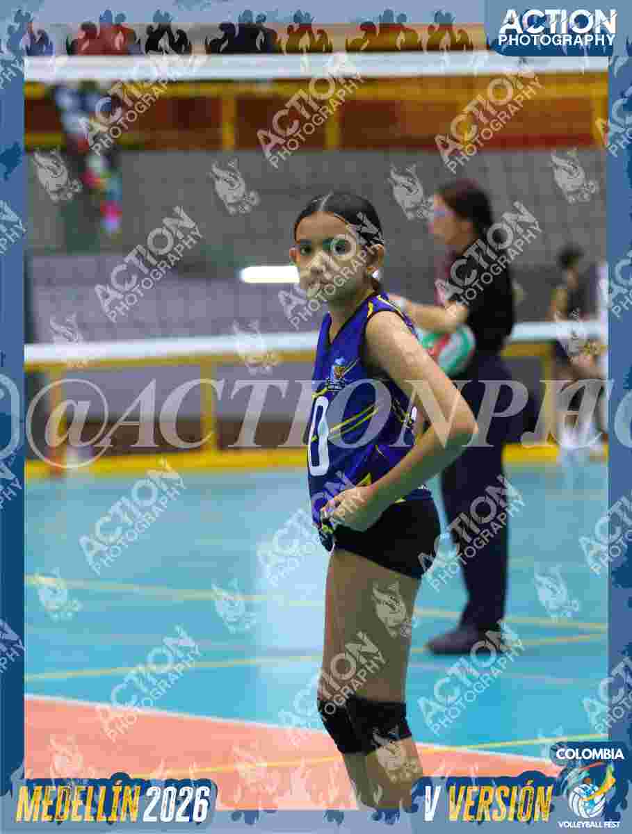 TIGRES DEL VOLEY Foto 1