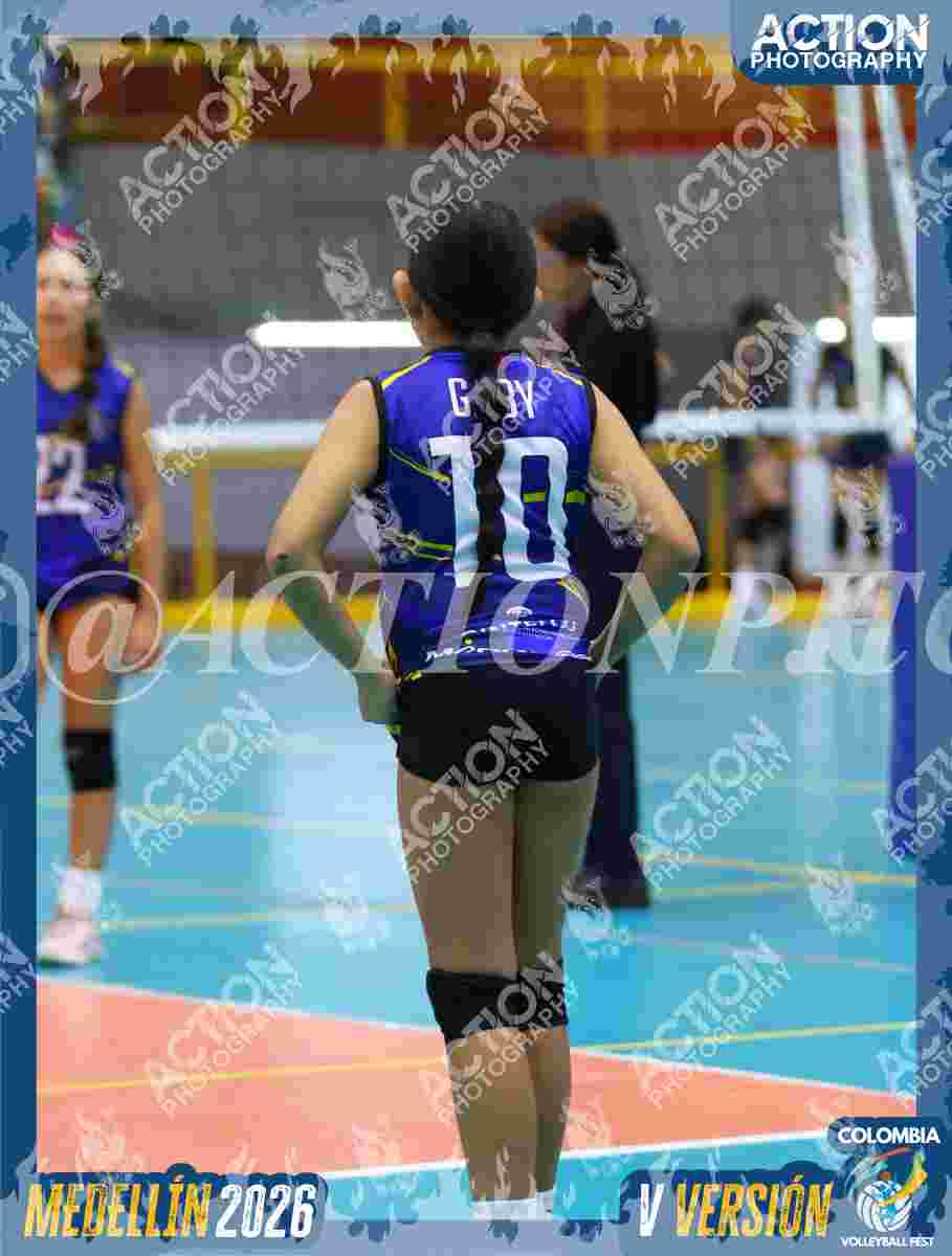 TIGRES DEL VOLEY Foto 1