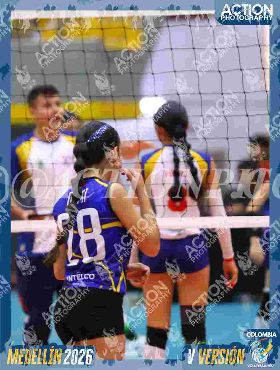 TIGRES DEL VOLEY Foto 1