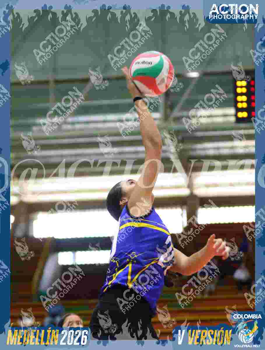 Preview de TIGRES DEL VOLEY