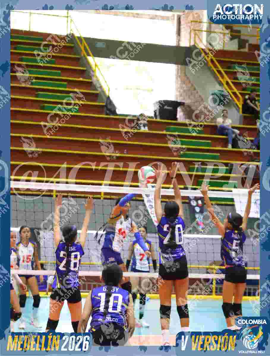 Preview de TIGRES DEL VOLEY
