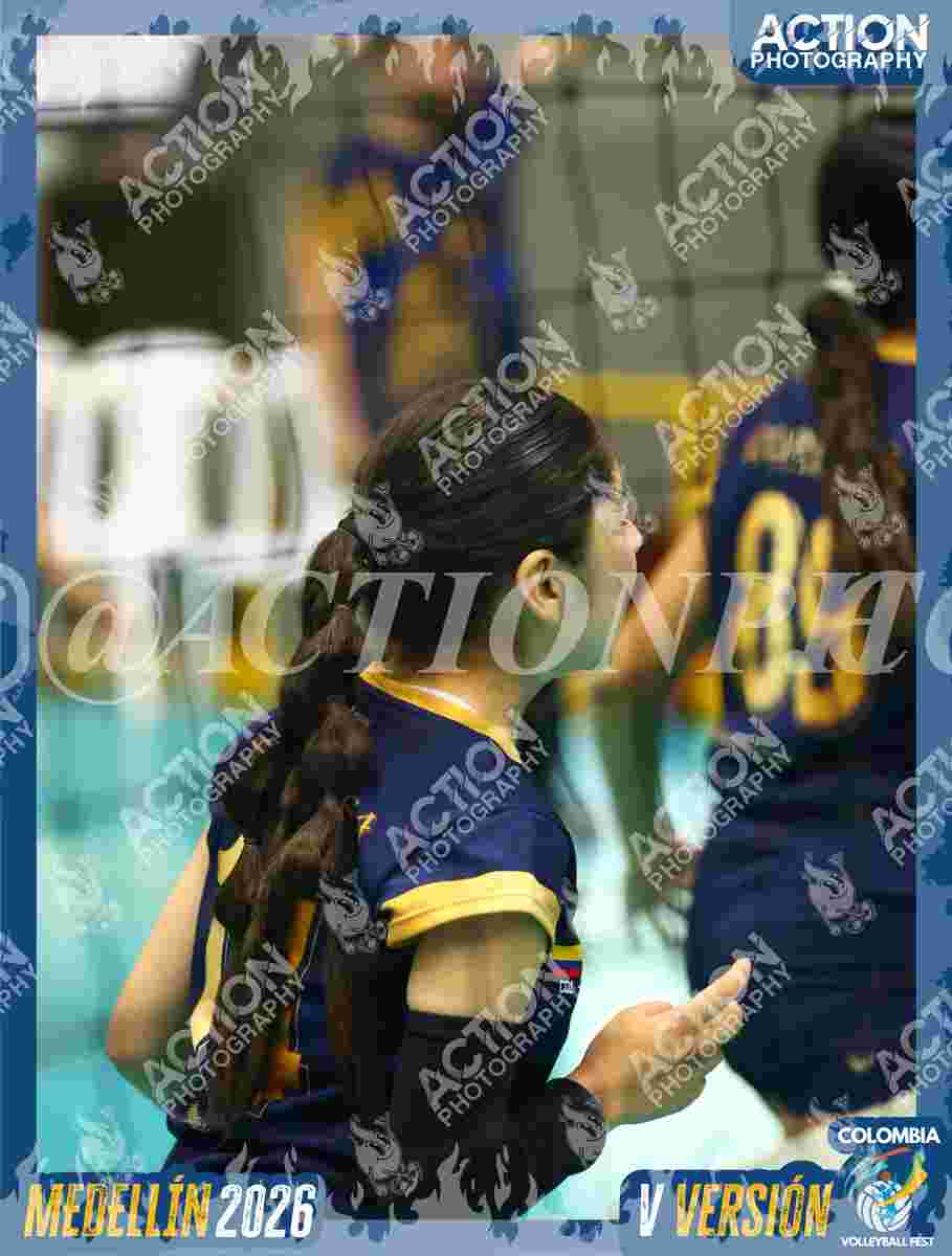 WOLVES Foto 1
