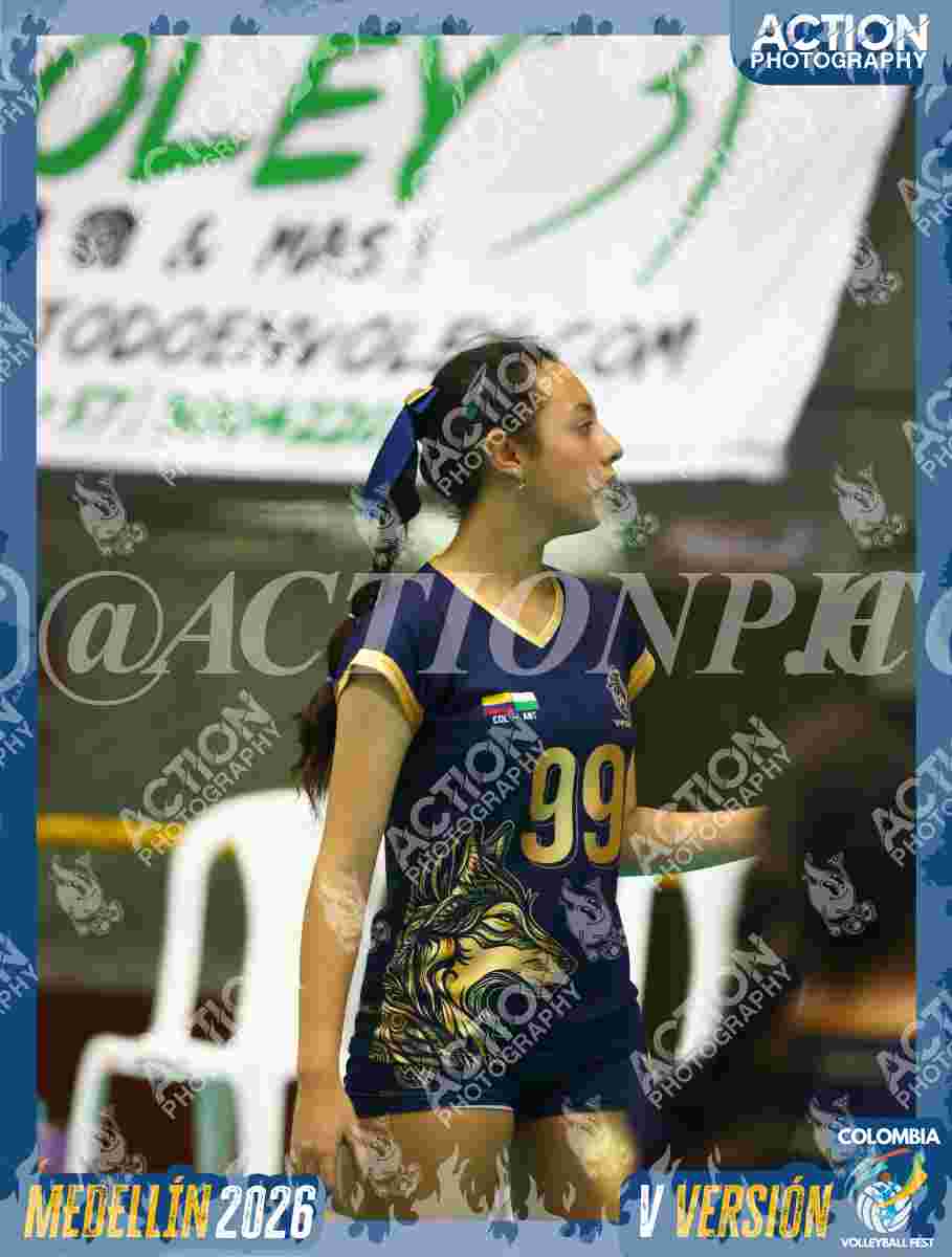 WOLVES Foto 1