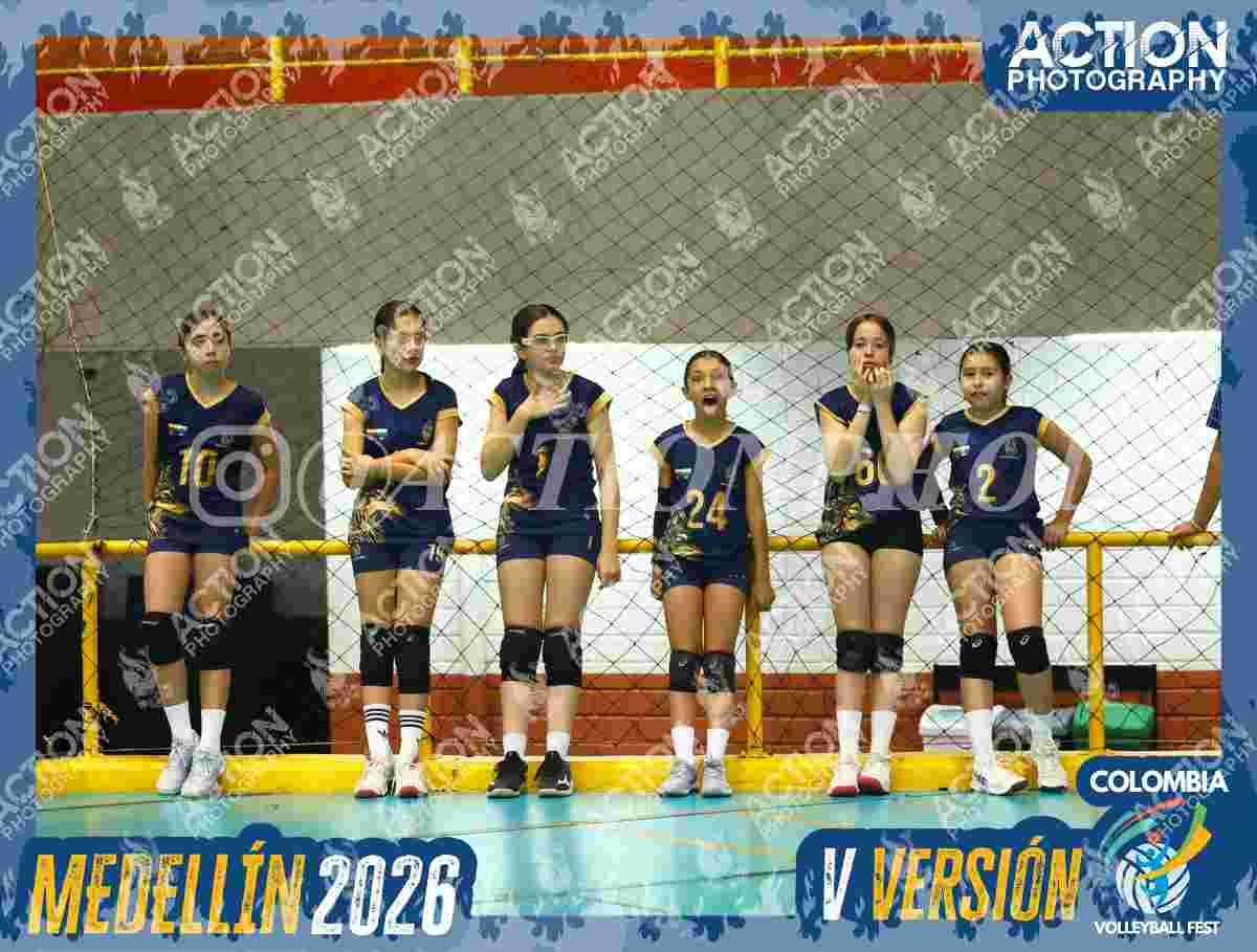 WOLVES Foto 1