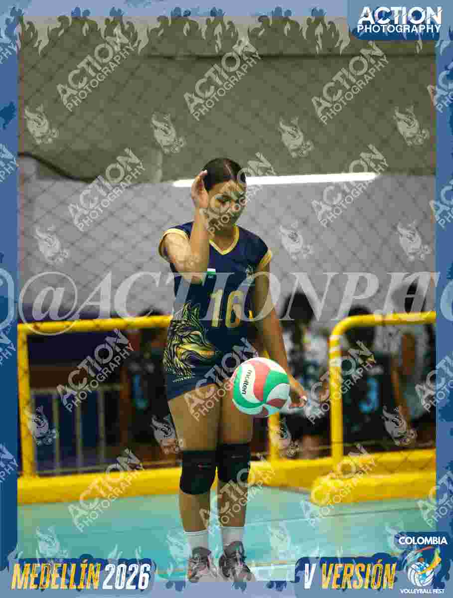 WOLVES Foto 1