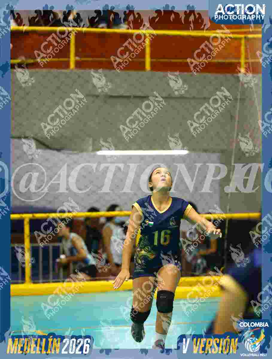 WOLVES Foto 1