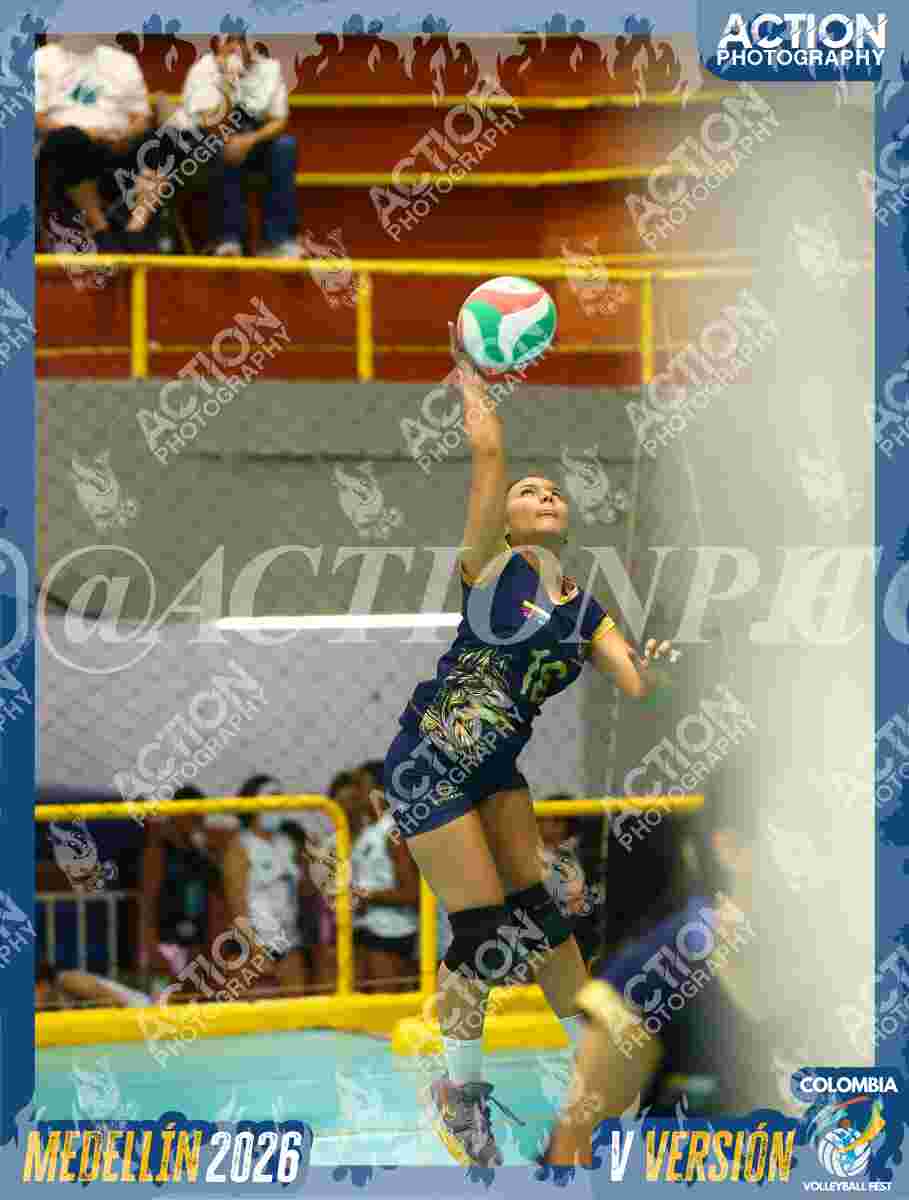 WOLVES Foto 1