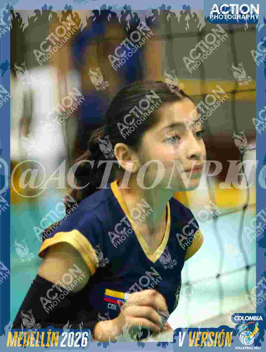 WOLVES Foto 1