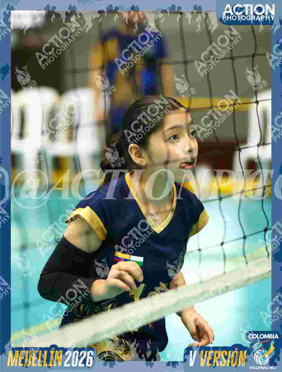 WOLVES Foto 1