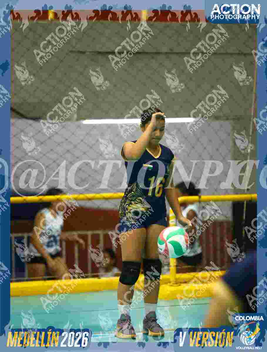 WOLVES Foto 11
