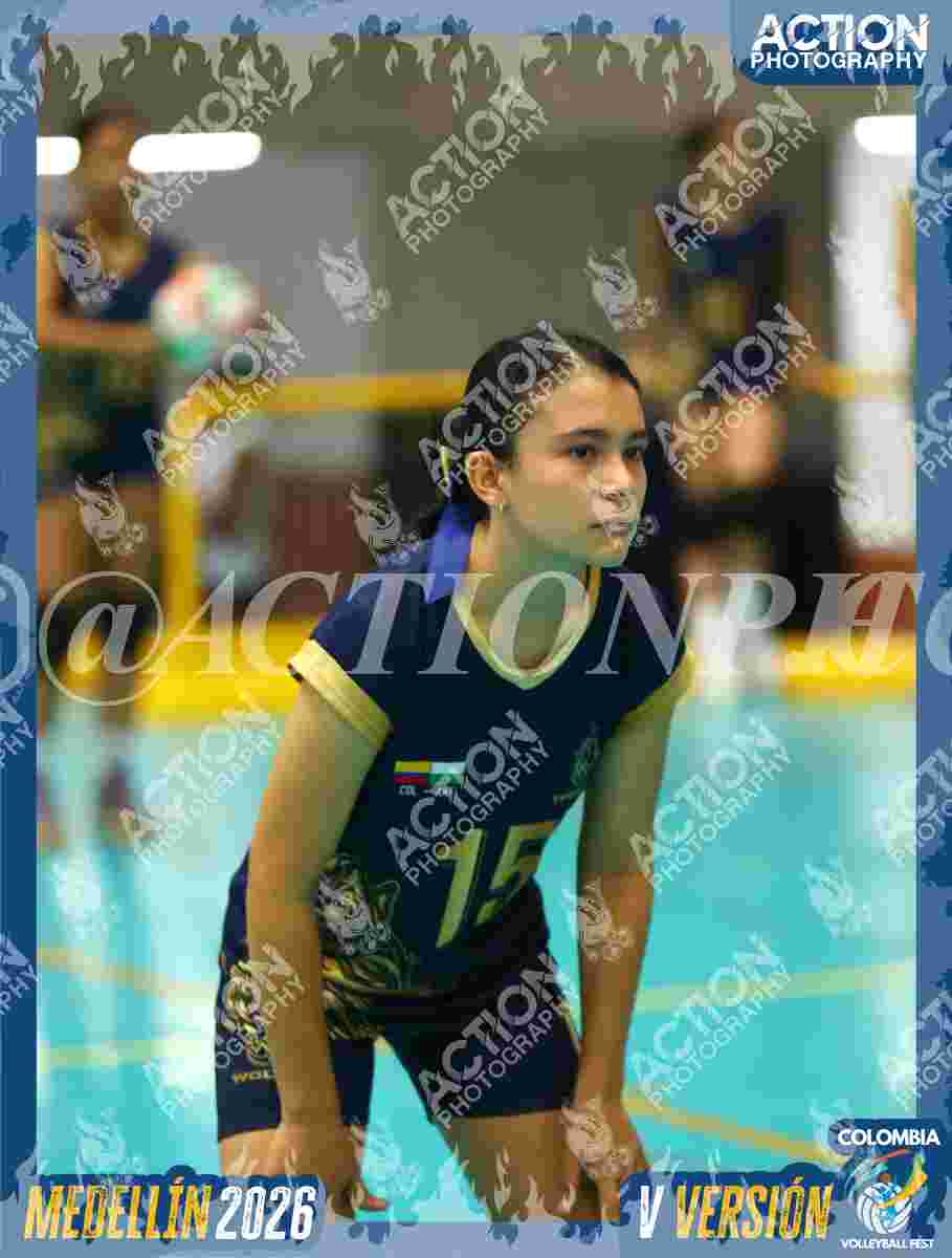 WOLVES Foto 11