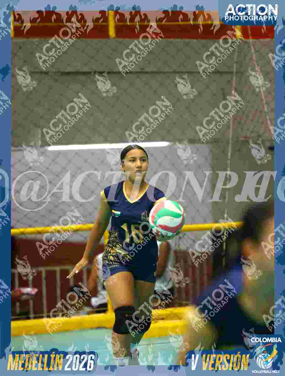 WOLVES Foto 11